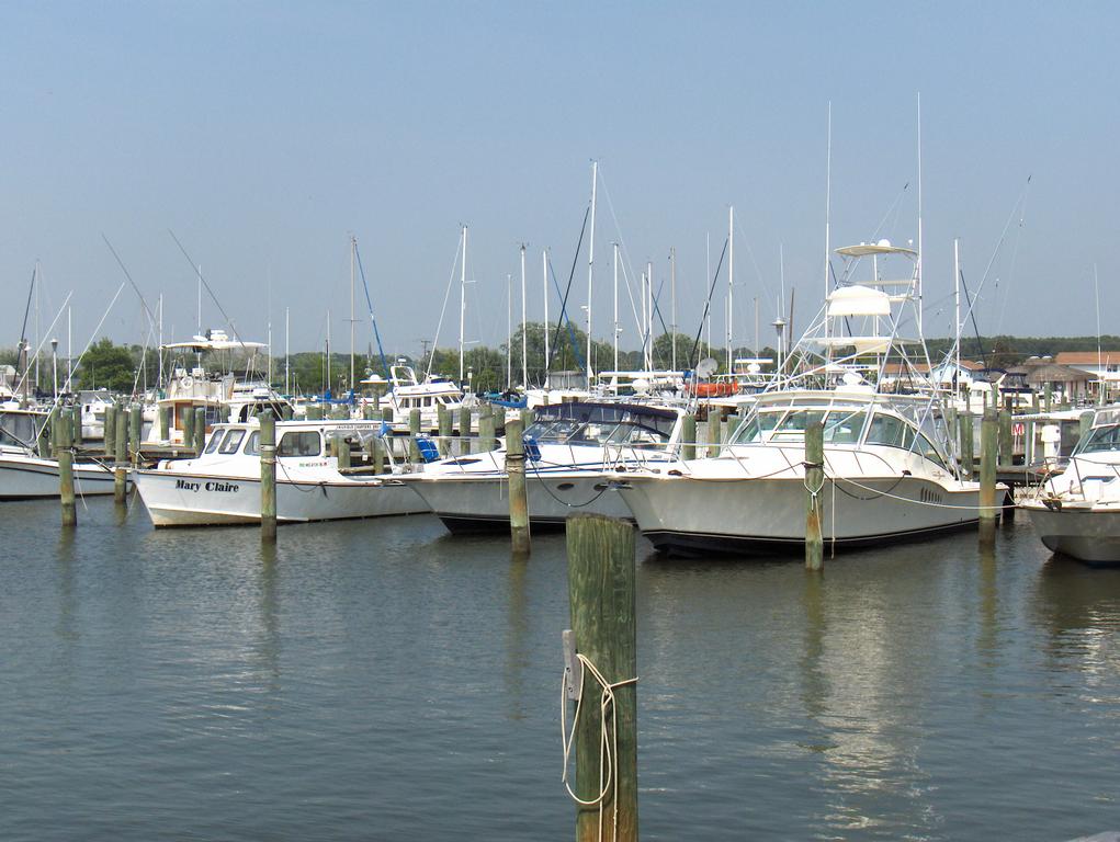 Tawes Insurance Crisfield MD 21817 4109681300 Insurance